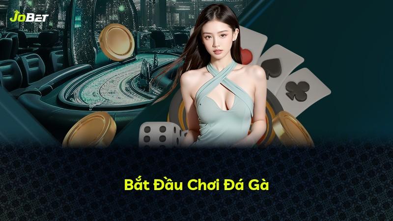 Bắt Đầu Chơi Đá Gà