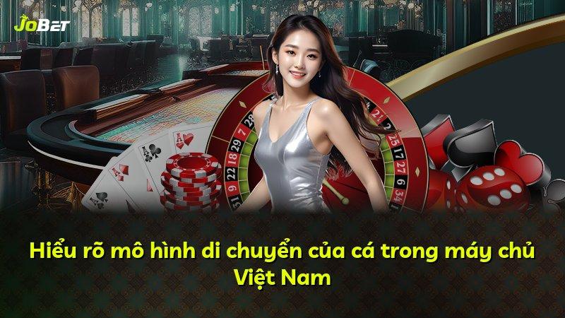Hiểu rõ mô hình di chuyển của cá trong máy chủ Việt Nam