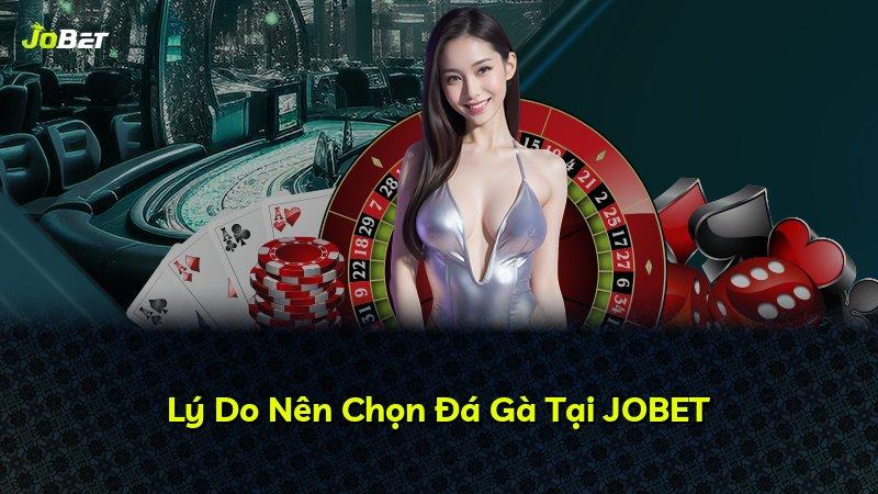 Lý Do Nên Chọn Đá Gà Tại JOBET
