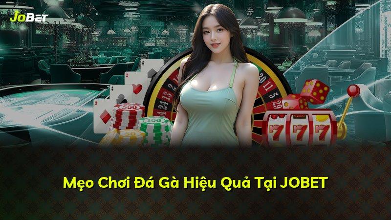 Mẹo Chơi Đá Gà Hiệu Quả Tại JOBET
