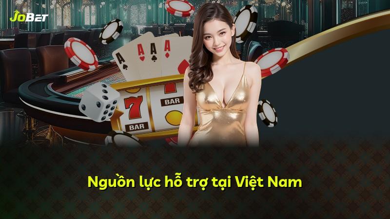 Nguồn lực hỗ trợ tại Việt Nam