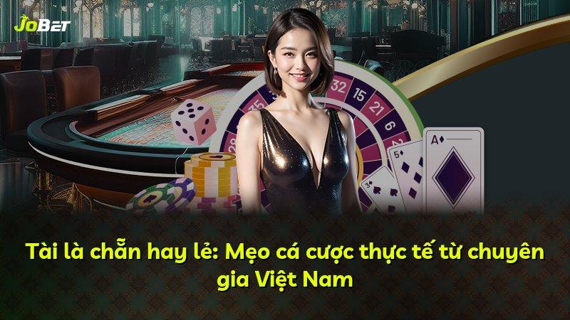 Tài là chẵn hay lẻ: Mẹo cá cược thực tế từ chuyên gia Việt Nam